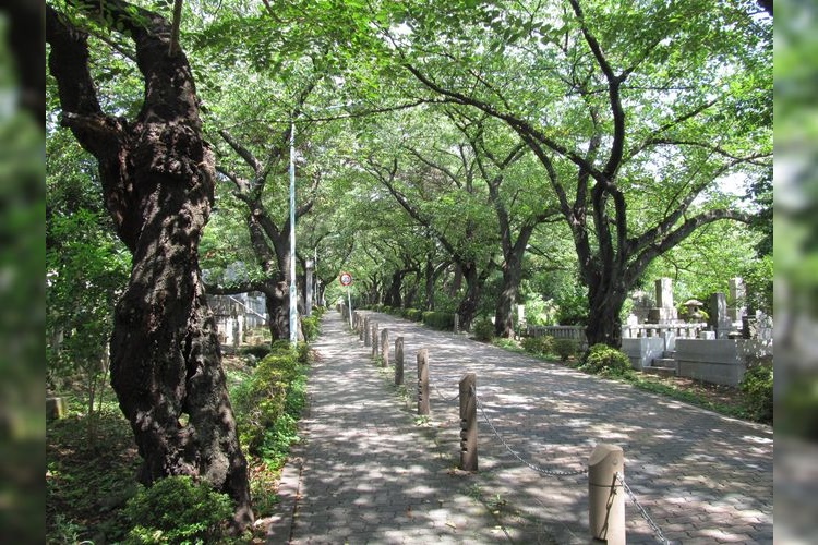 青山靈園