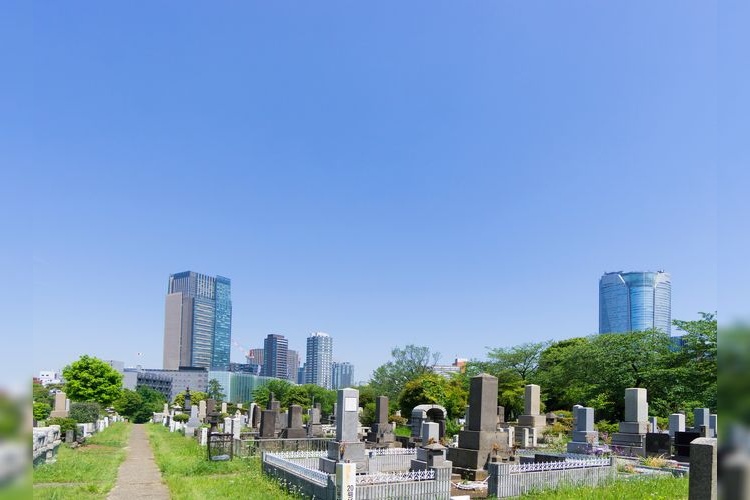 青山靈園 3