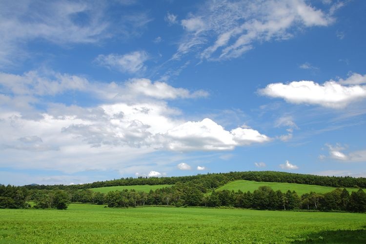 아비 고원 (Appi Kogen) 4