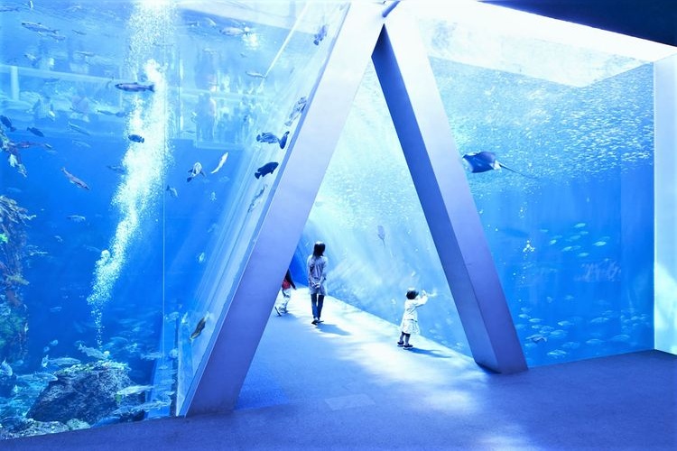 Aquamarine Fukushima 3