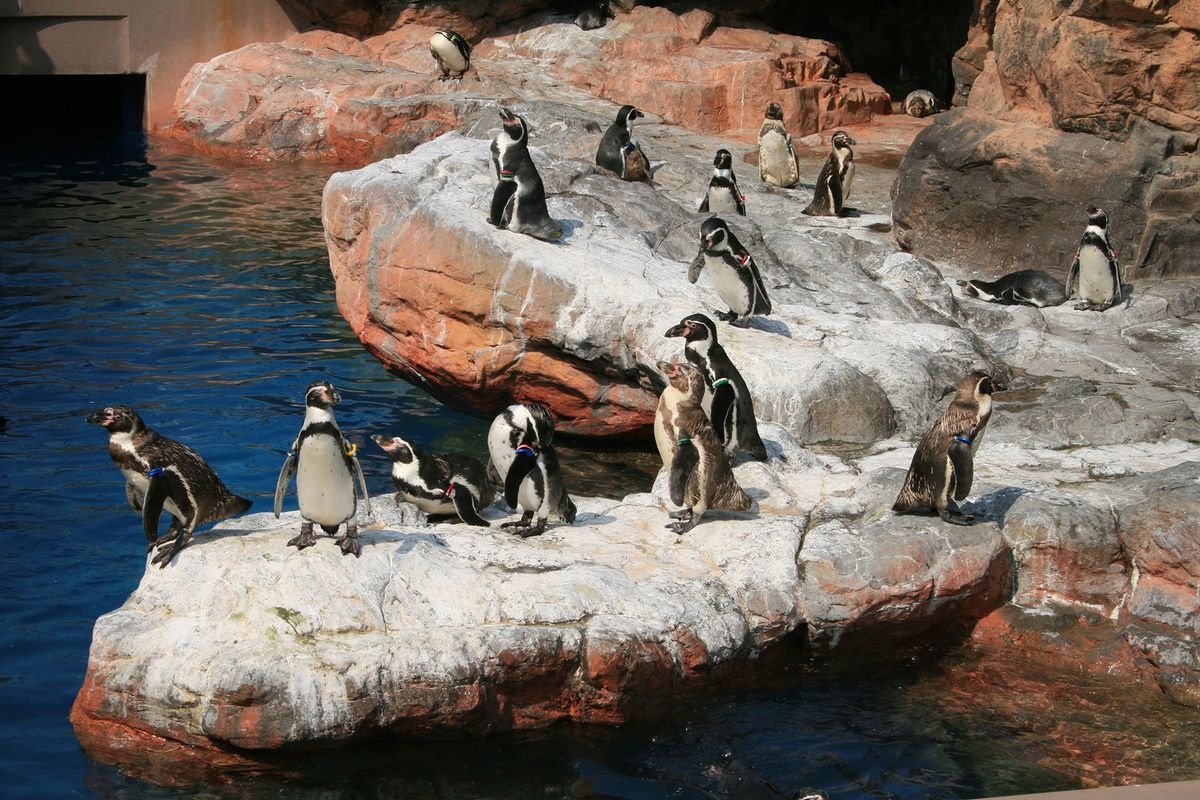 Aqua World Oarai