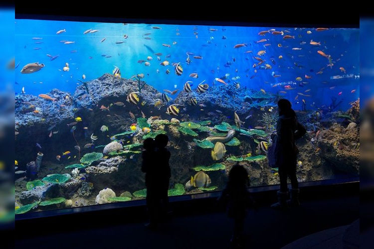 Aqua World Oarai 2