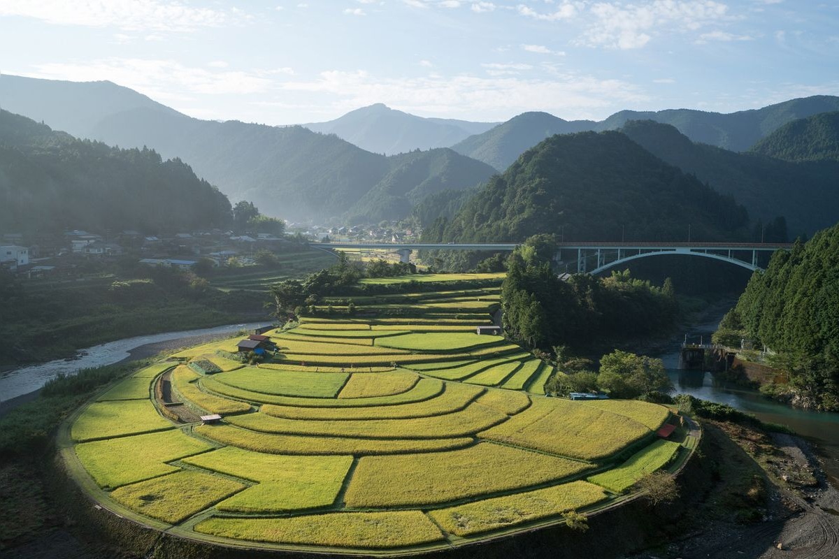 あらぎ島