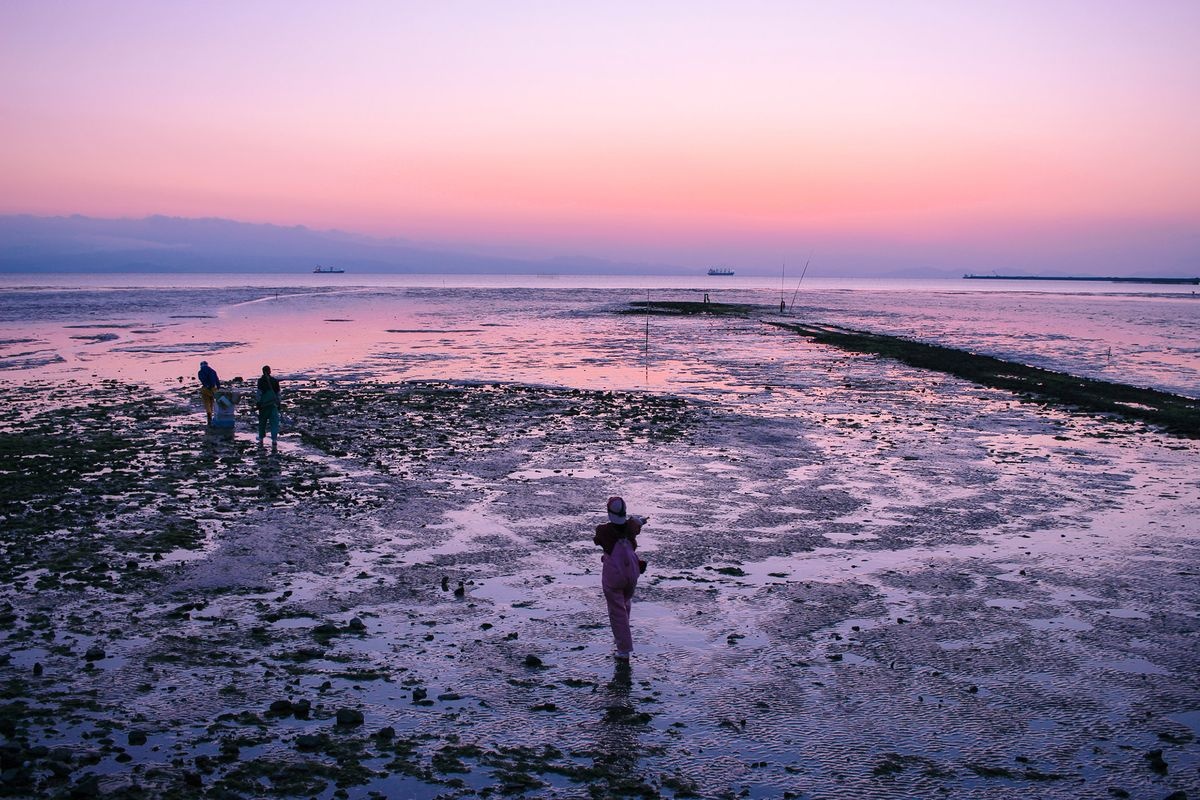 荒尾干潟 (Arao Tidal Flat)