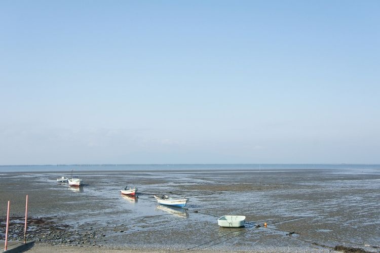 荒尾干潟 (Arao Tidal Flat)