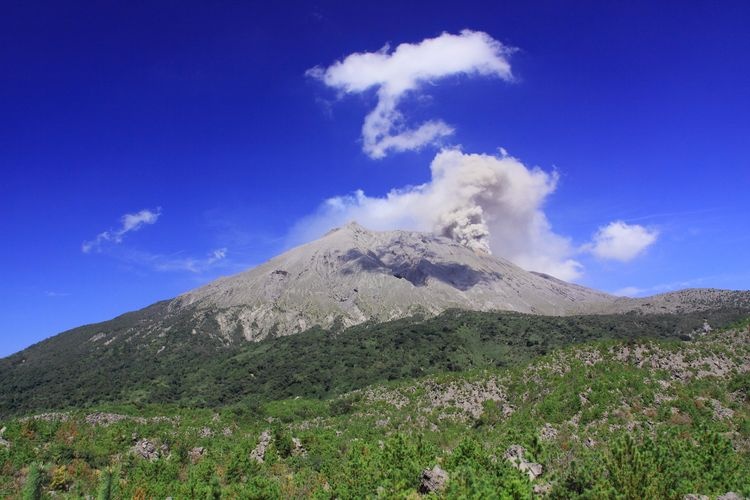 จุดชมวิวลาวาอาริมุระ (Arimura Lava Lookout)