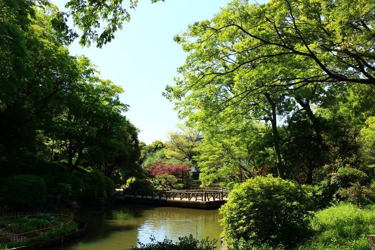 有栖川宫纪念公园