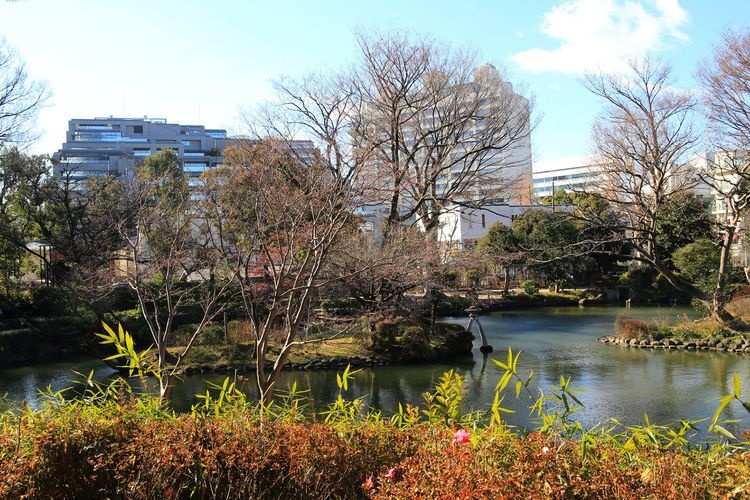 有栖川宫纪念公园 3