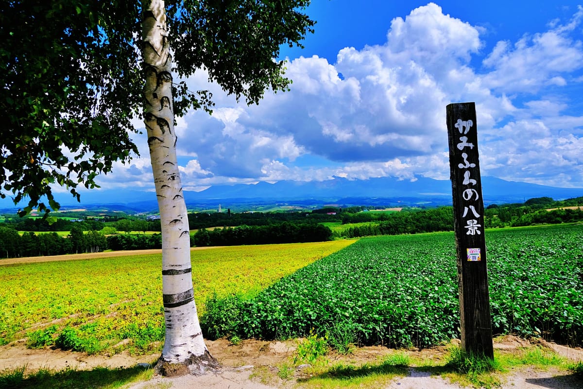 Asino Yamabiko Koichi