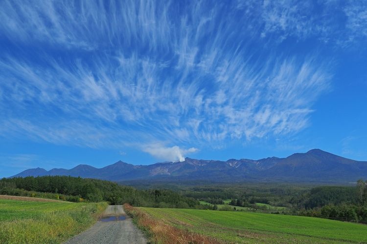 아사노 야마비코 고지 (Asino Yamabiko Koji) 2