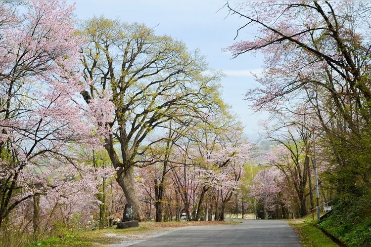 Asahiyama Memorial Park