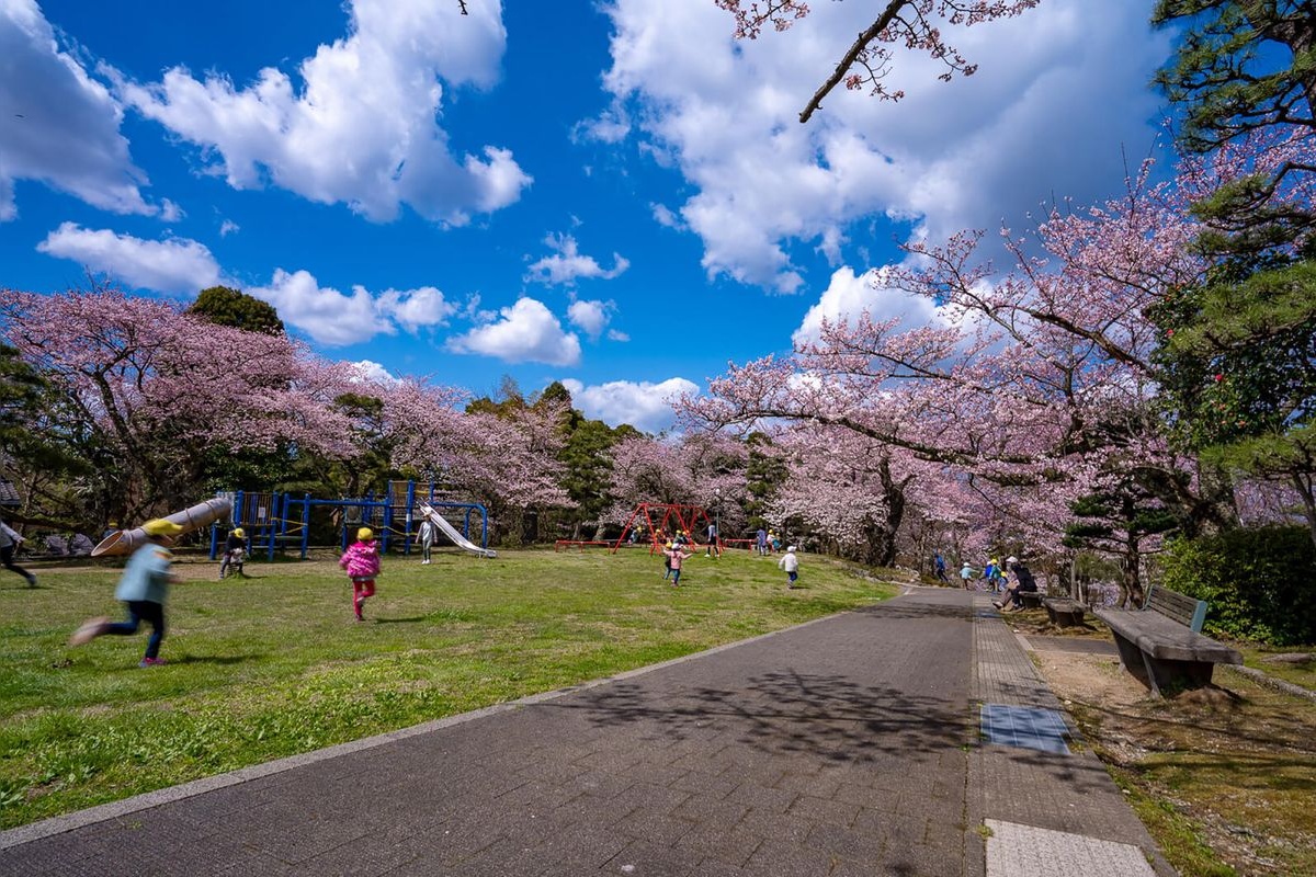 朝日山公園 (Asahiyama Park)