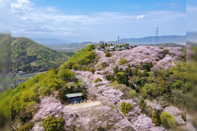 아사히야마 삼림공원