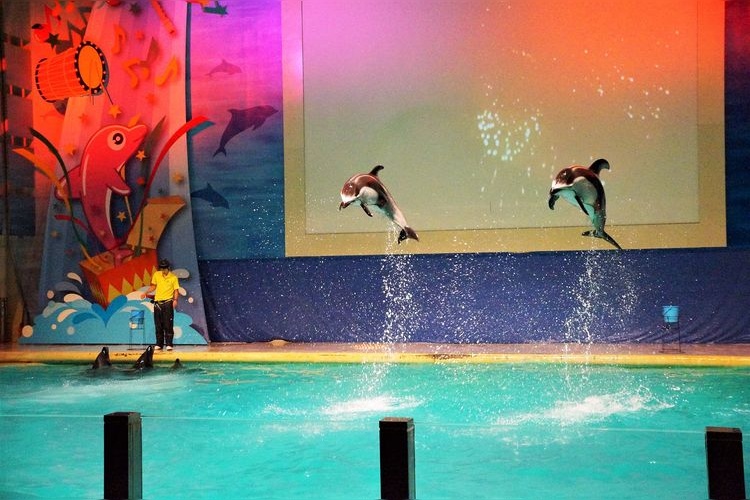 浅虫水族馆 3