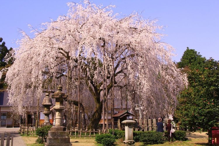 Asobuyama Park