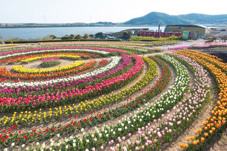 Sante Parc Tahara (Ashigaike Agricultural Park) 3