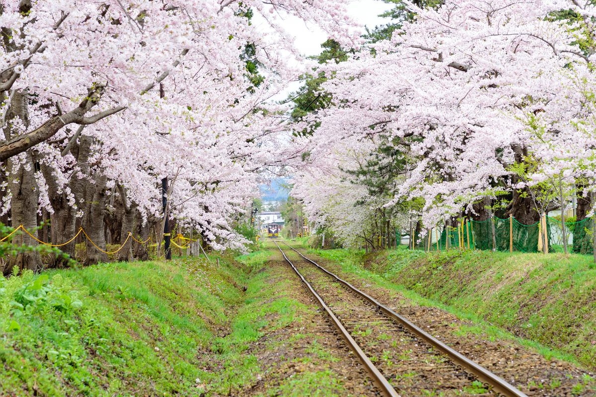 아시노 공원(芦野公園)