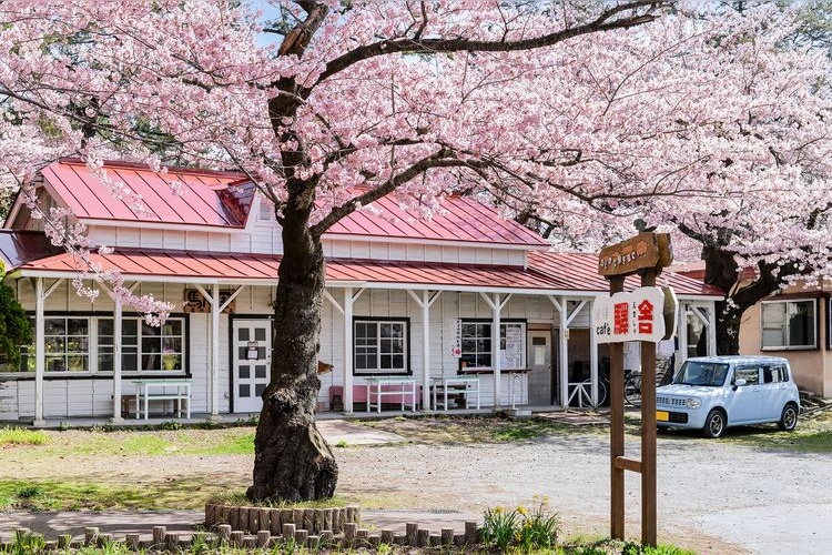 芦野公園
