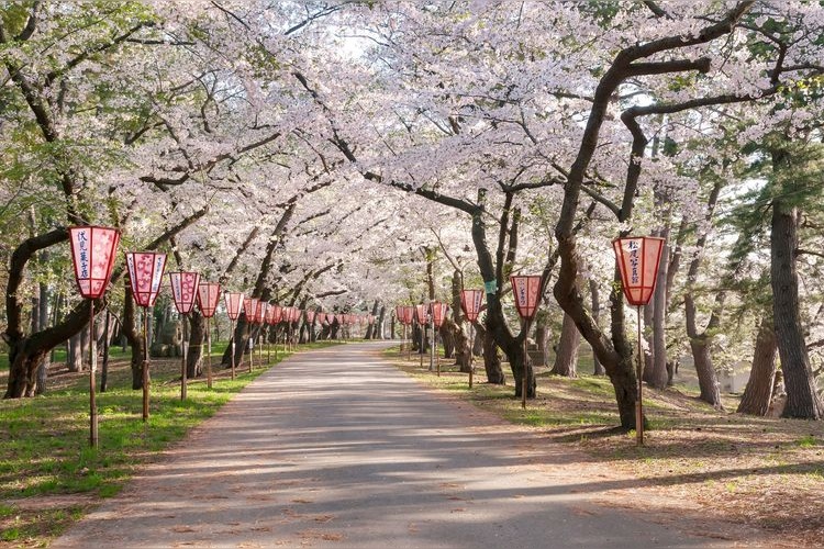 芦野公園 3