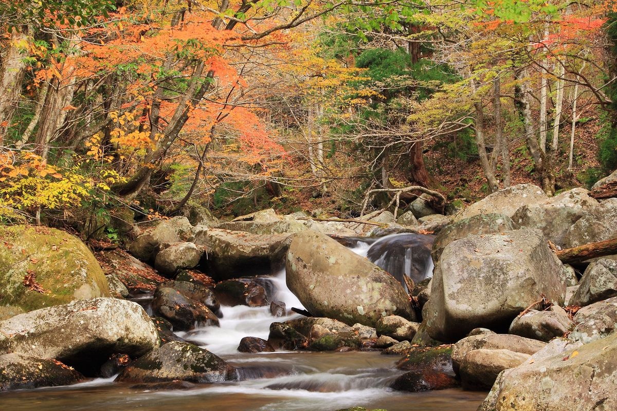 Schorw Climbing Event in Ashizu, Chizu