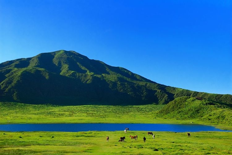 Aso Panorama Line 4