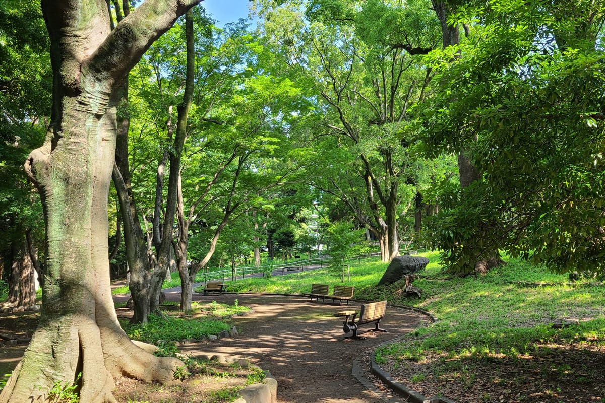 Parque Asukayama