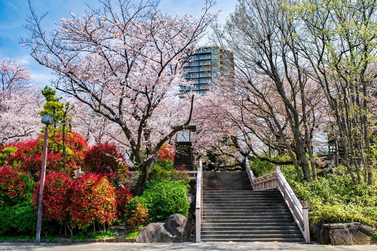 飛鳥山公園