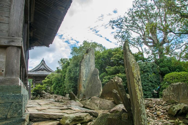 阿波國分寺（藥王山 金色院 國分寺） 2