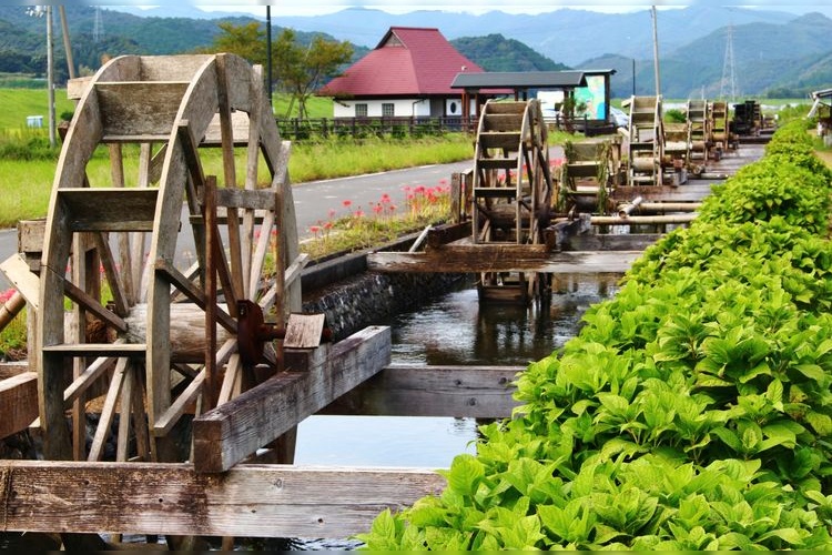 Yasuna Wasserrad-Dorf