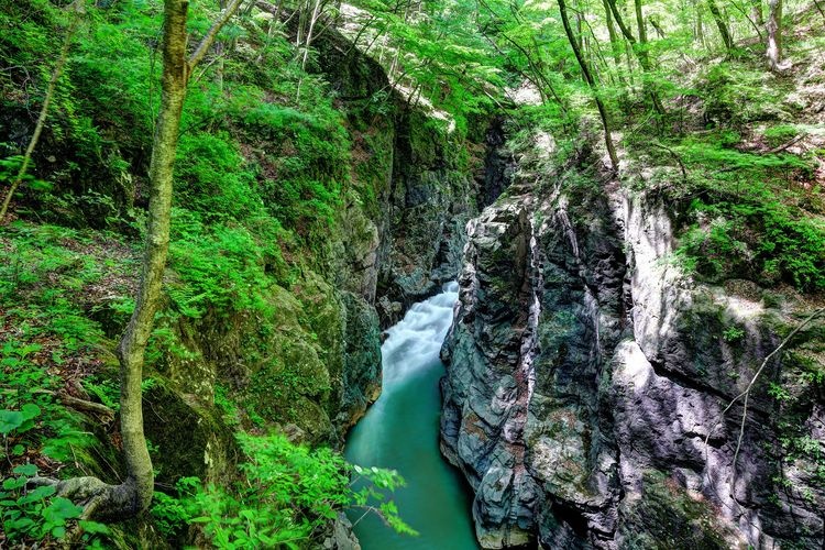 หุบเขาอาซามะ (Azuma Valley)