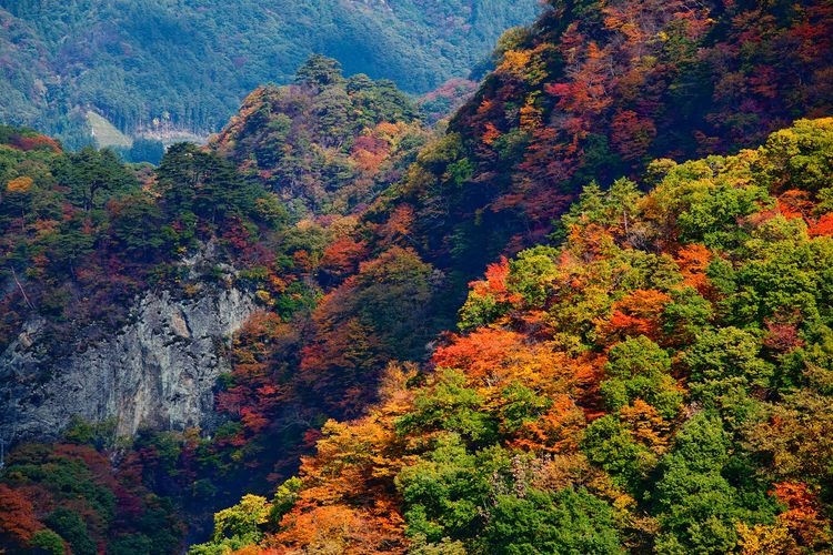 หุบเขาอาซามะ (Azuma Valley) 2