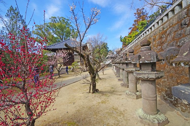 梅林寺