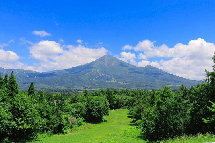 Bandai Kogen Minamigaoka Farm