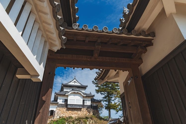 ปราสาทบิจูมัตสึยามะ (Bitchu Matsuyama Castle)