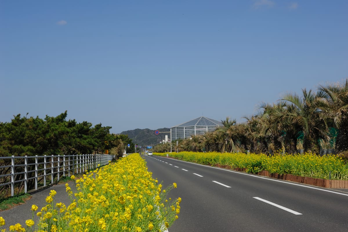 Boso Flower Line
