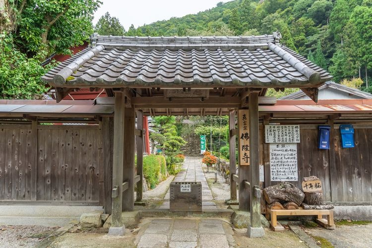 부룡사 (부츠류지)