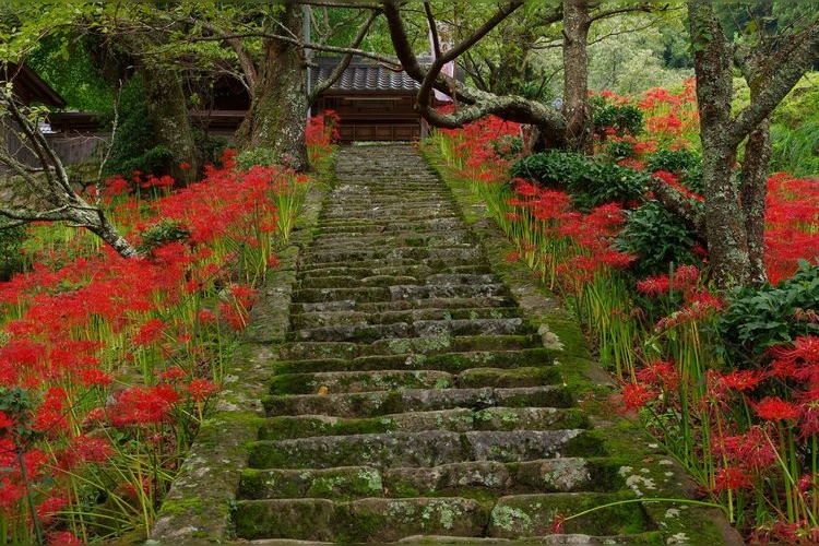 Butsuryuji Temple 7