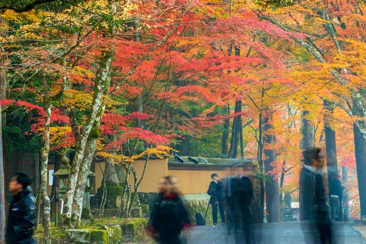 Butsuji Temple