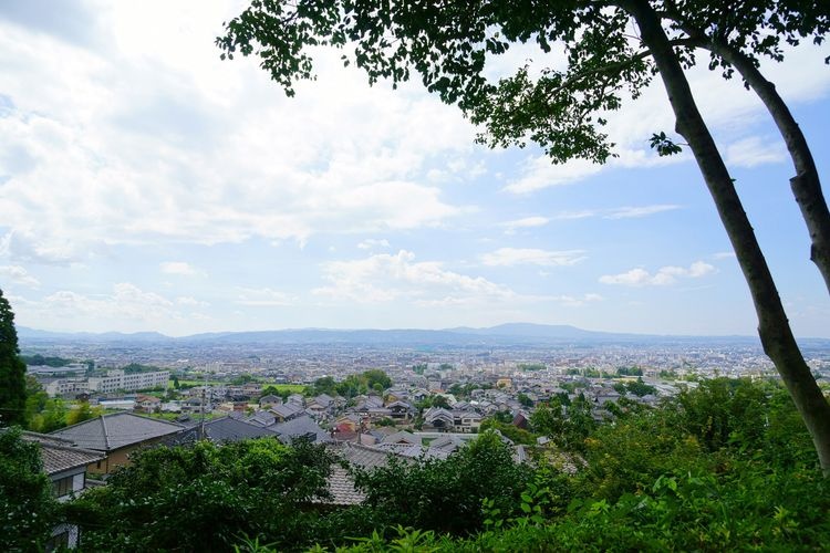 白毫寺 2
