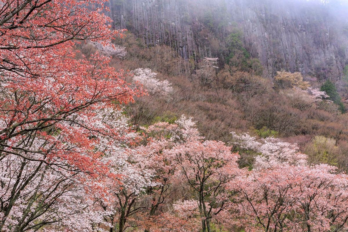 Byobuiwa Kōen