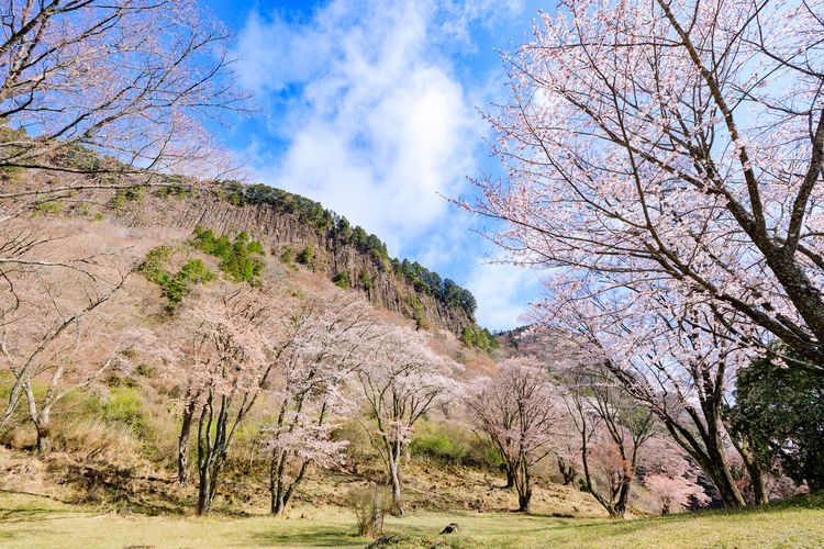 屏風岩公苑 2