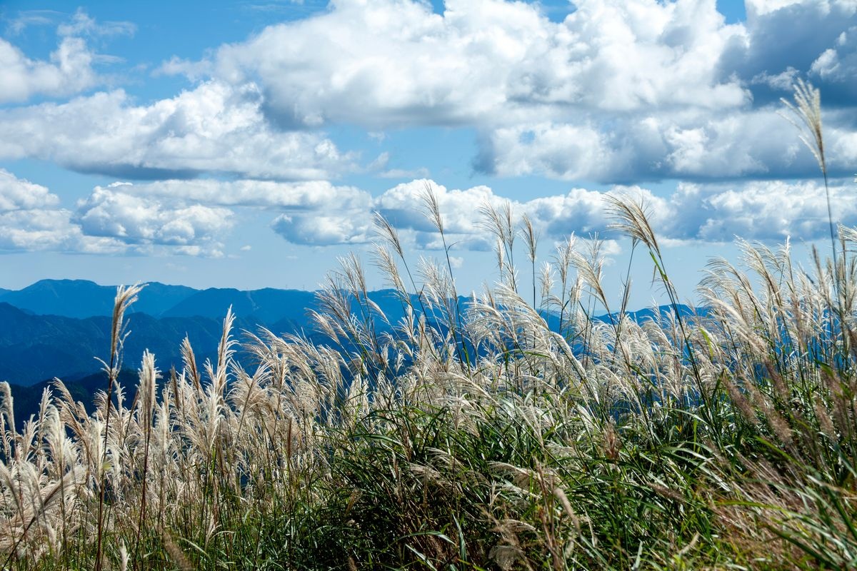 Chausuyama Kogen