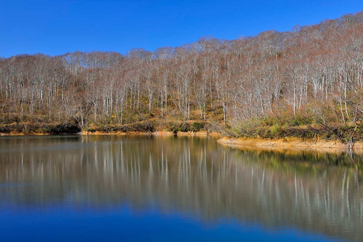 Chayaike Pond
