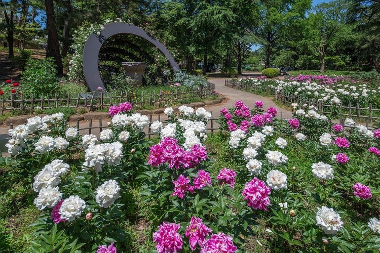Chiba Park 3