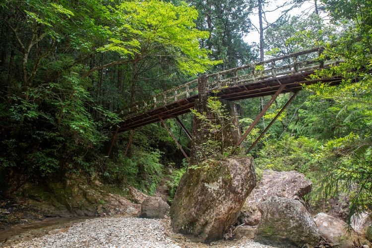 Iwakyo Gorge (Chiiwakyo)