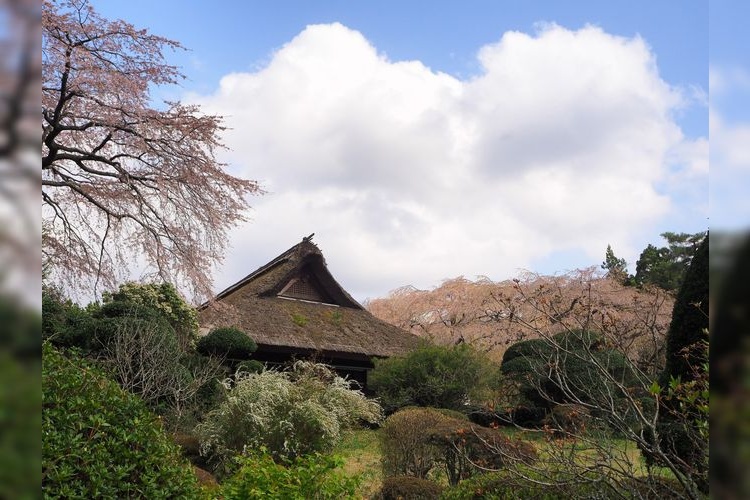 Công viên Ký ức Chichibunomiya 3