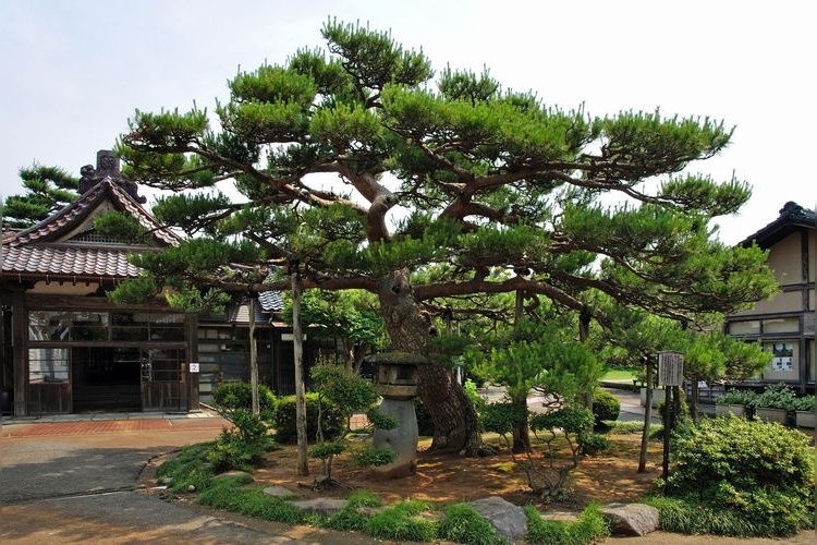 치도 박물관 (Chido Museum)