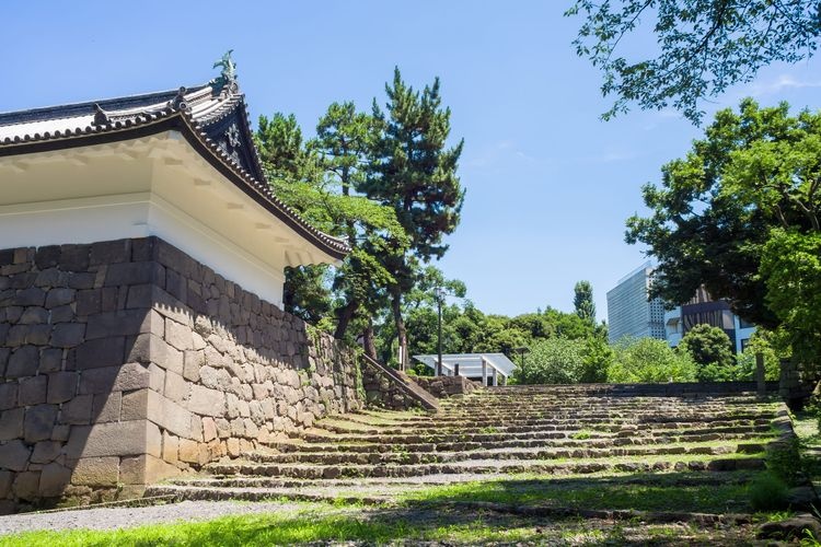 千鳥之淵綠道(千鳥之淵) 4