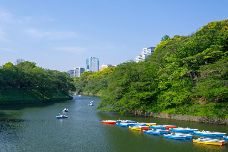 千鳥之淵綠道（千鳥之淵） 6
