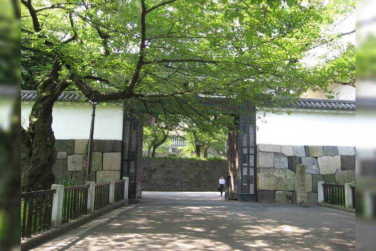 千鳥之淵綠道（千鳥之淵） 8